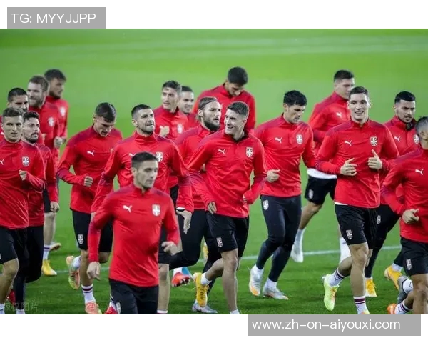 挪威足球队球星盘点与成就分析 各代传奇球员的影响力与贡献